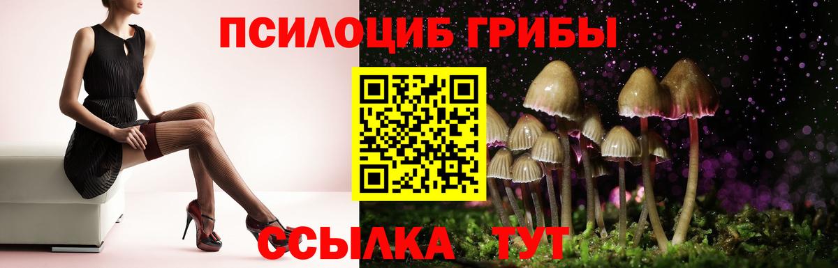 Галлюциногенные грибы MAGIC MUSHROOMS  Вход с VPN  Кропоткин 